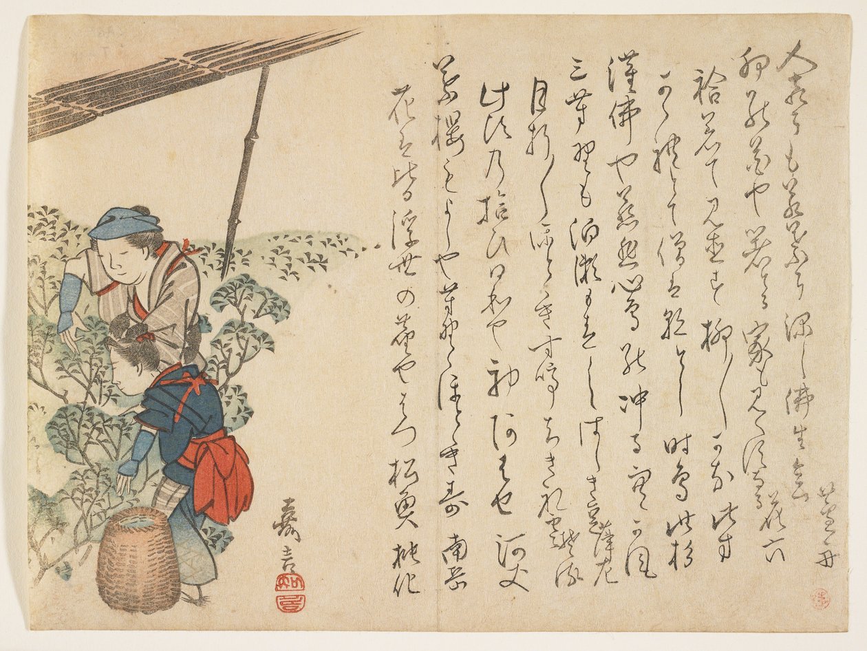 Tea Pickers by Murata Kagen