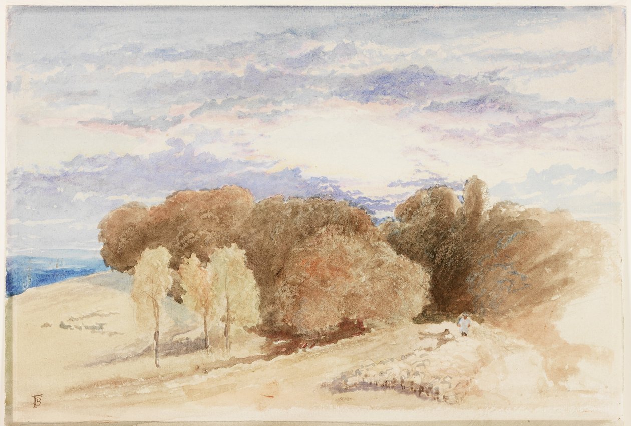 Arundel Park by Myles Birket Foster