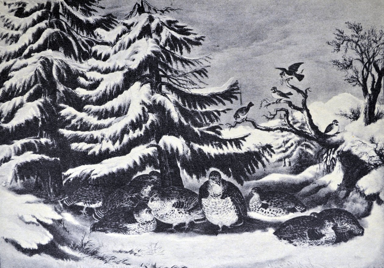 Snowed Up, Ruffled Grouse in Winter by N. and Ives, J.M. Currier