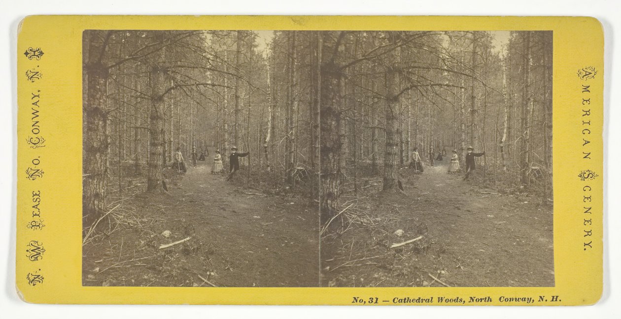 Cathedral Woods, North Conway, N.H. by N.W. Pease