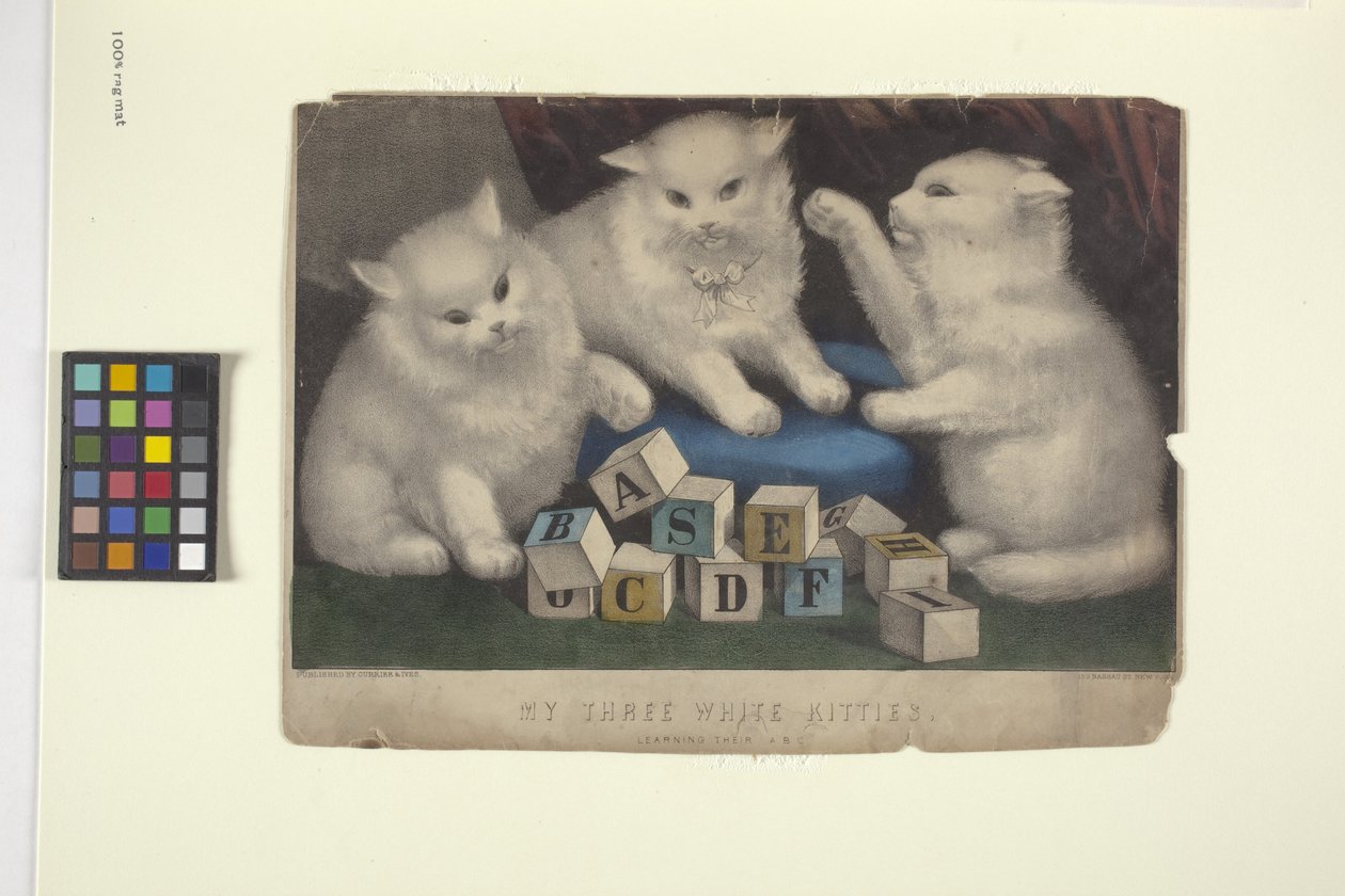My Three White Kittens by N. and Ives J.M. (1824 95) Currier