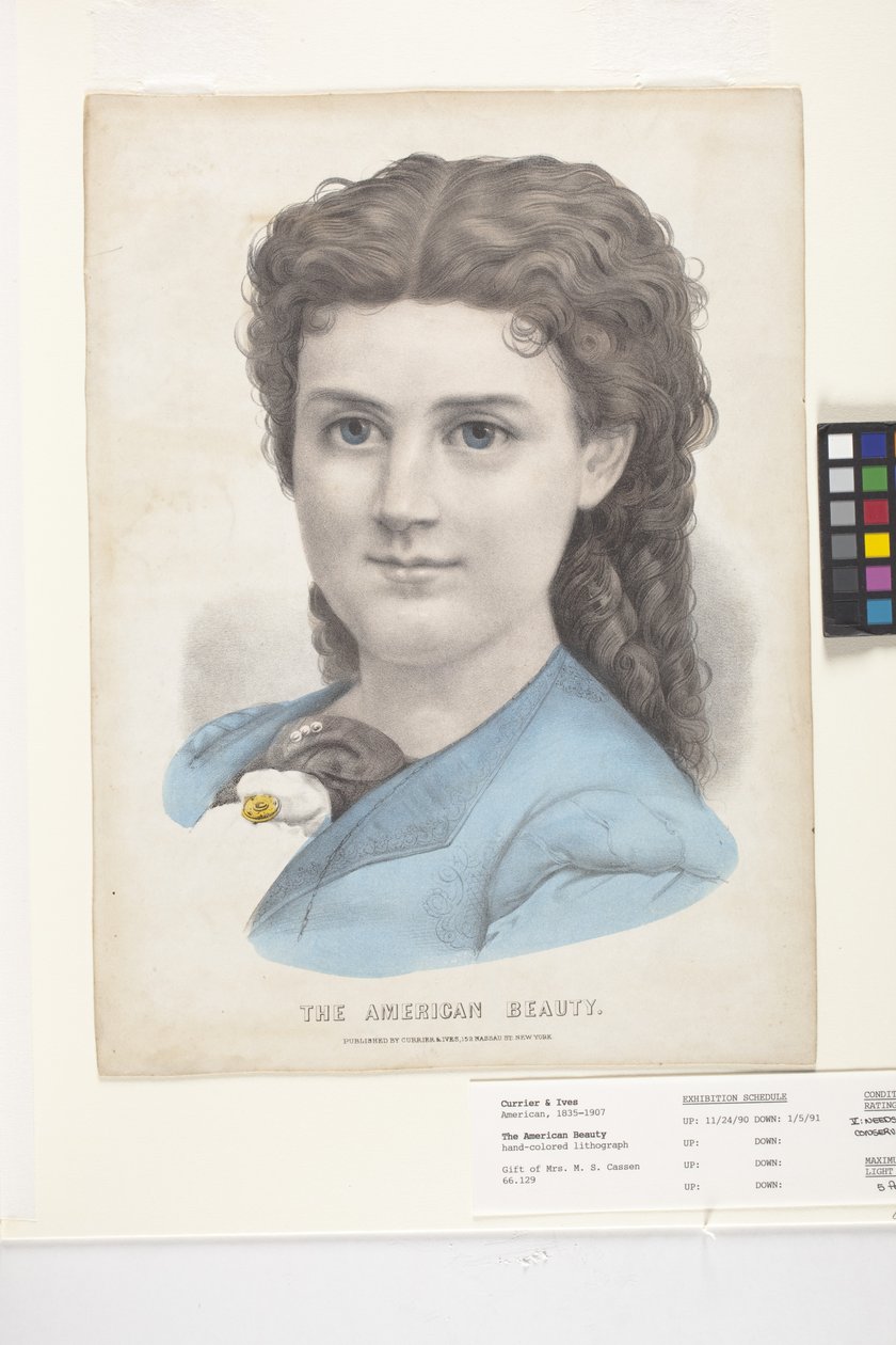 The American Beauty by N. and Ives J.M. (1824-95) Currier