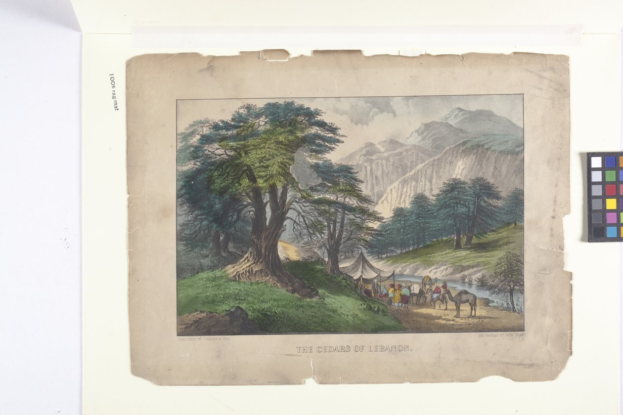 The Cedars of Lebanon by N. and Ives J.M. (1824 95) Currier