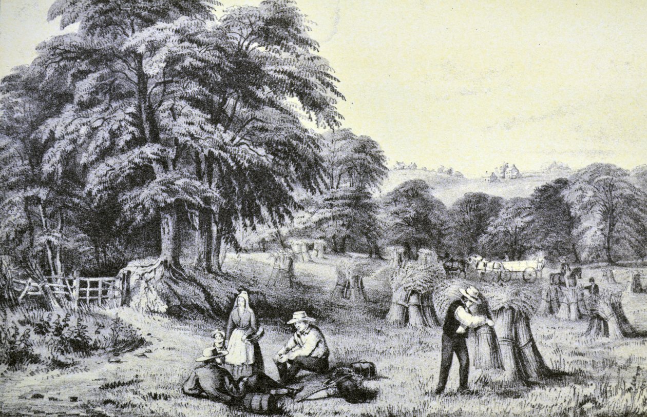 Harvest by N. and Ives, J.M. Currier