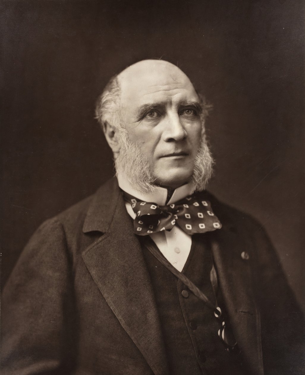 Élie-Louis, duc Decazes French Statesman and Diplomat by Nadar