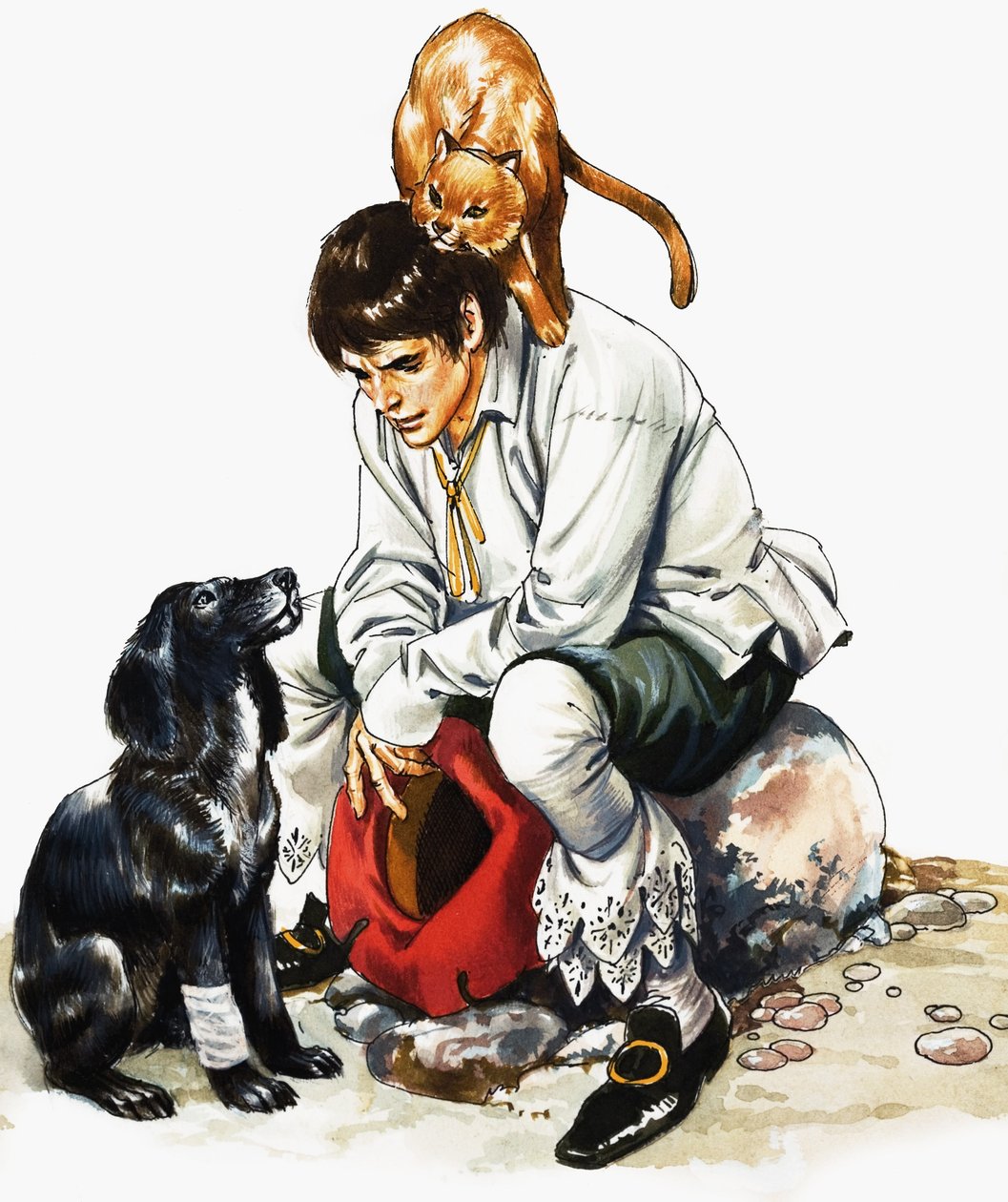 Dick Whittington Plus Cat and Dog by Nadir Quinto