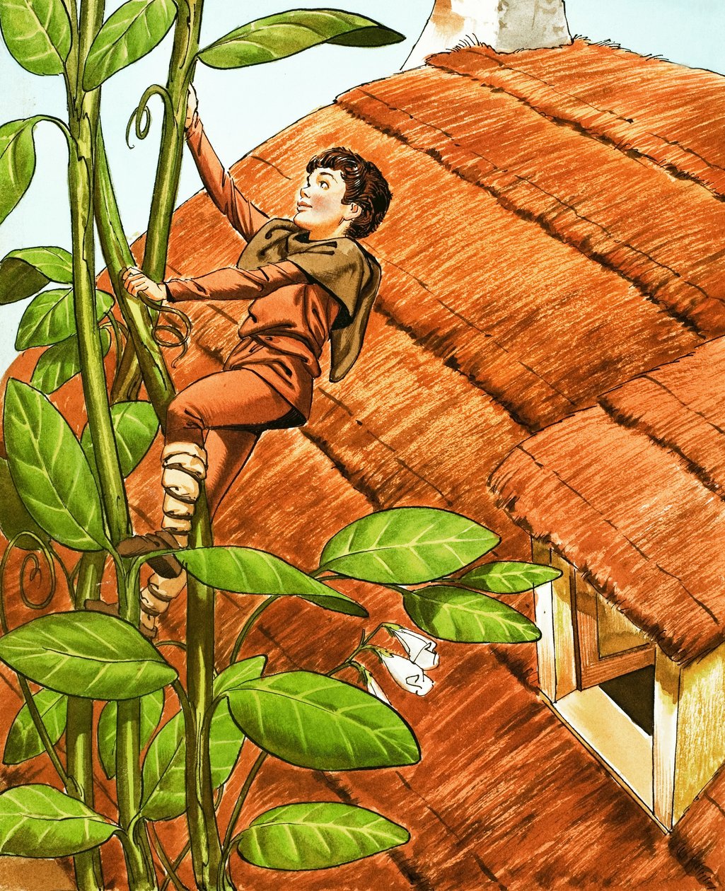 Jack and the Beanstalk by Nadir Quinto