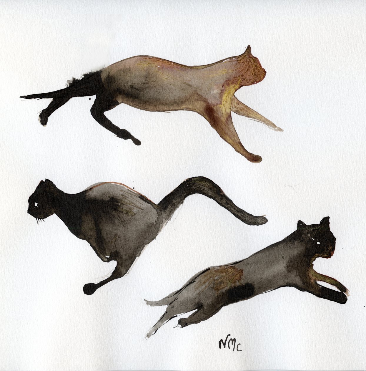 Run Cat Run by Nancy Moniz Charalambous
