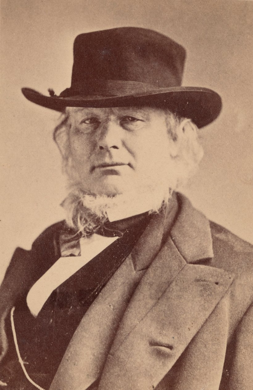 Portrait of Horace Greeley 1811-1872 by Napoleon Sarony