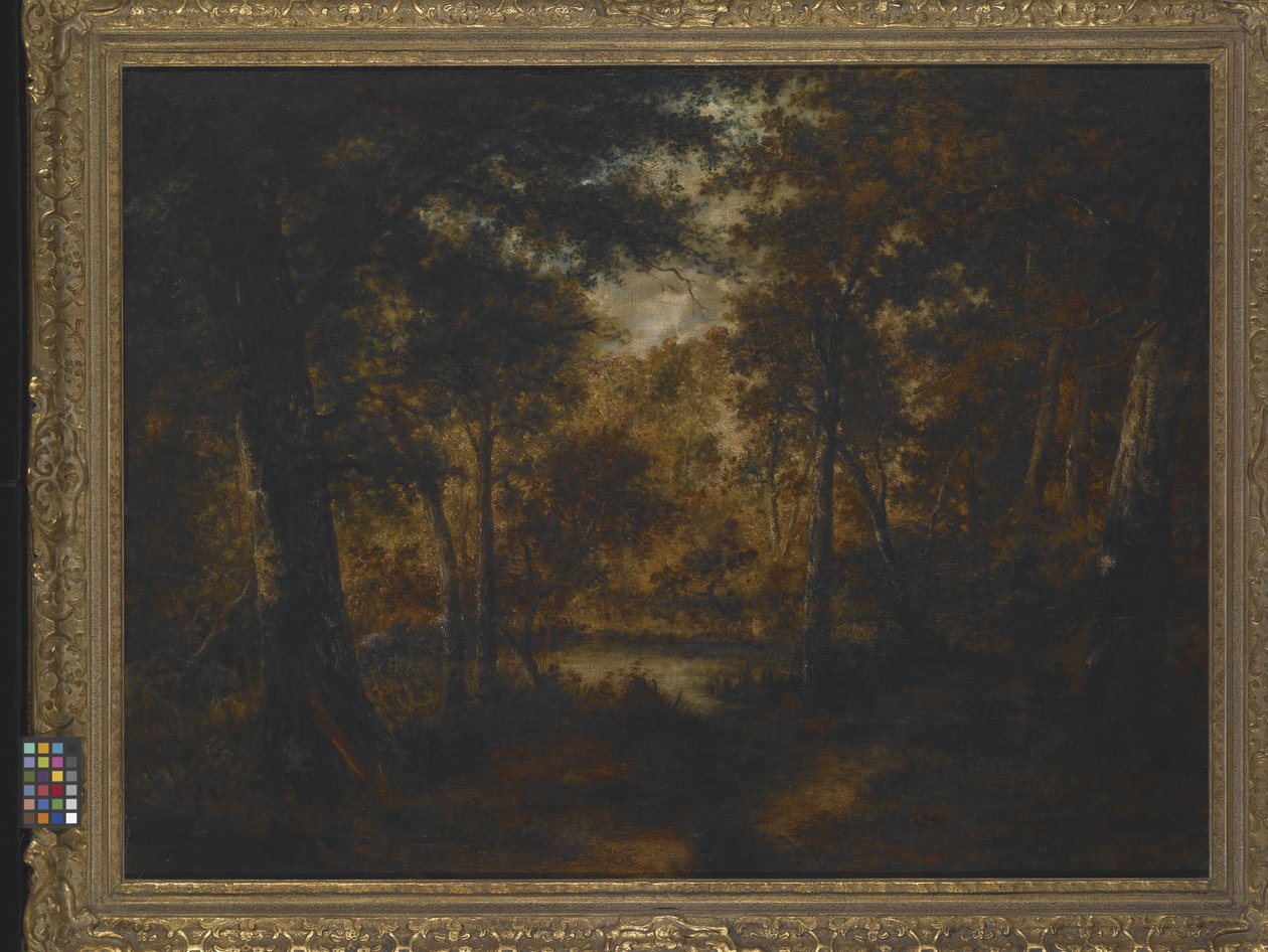The Fairy Pool by Narcisse Virgile Diaz de la Peña