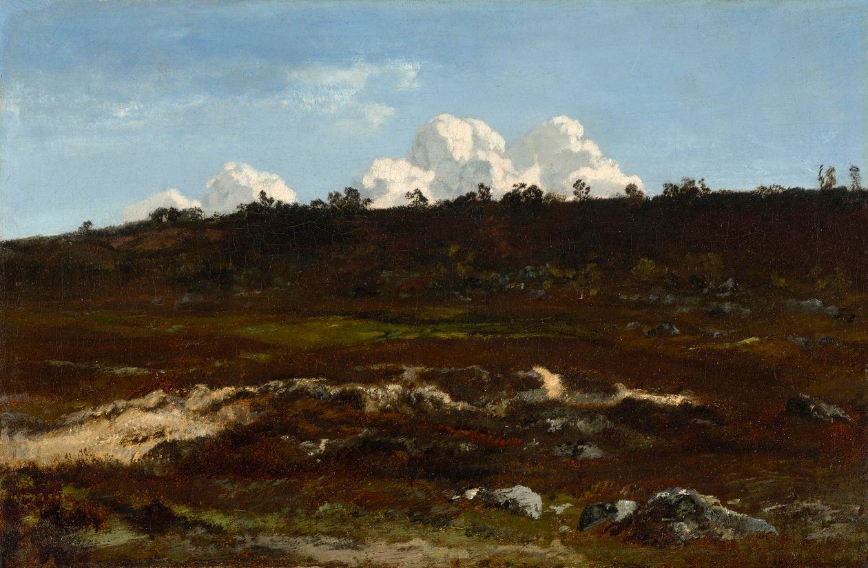 Heath. Sloping Terrain near Apremont with Sand Furrow by Narcisse Virgilio Diaz de la Peña