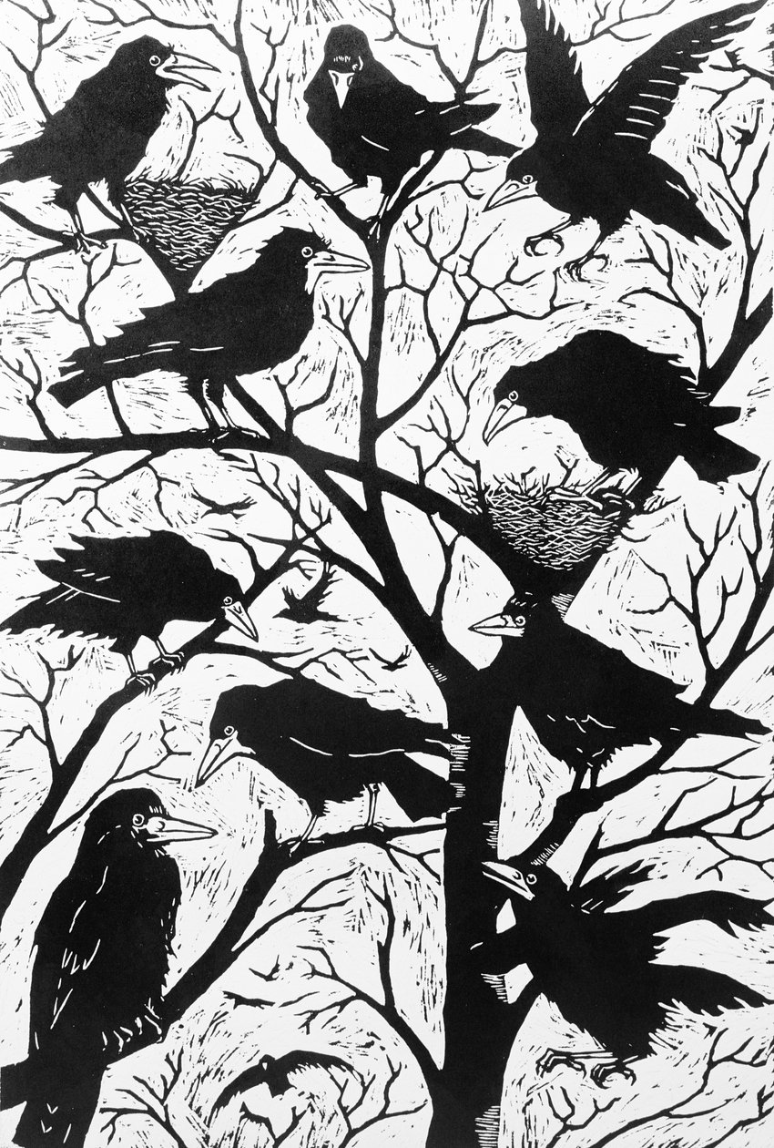 Rooks, 1998 by Nat Morley