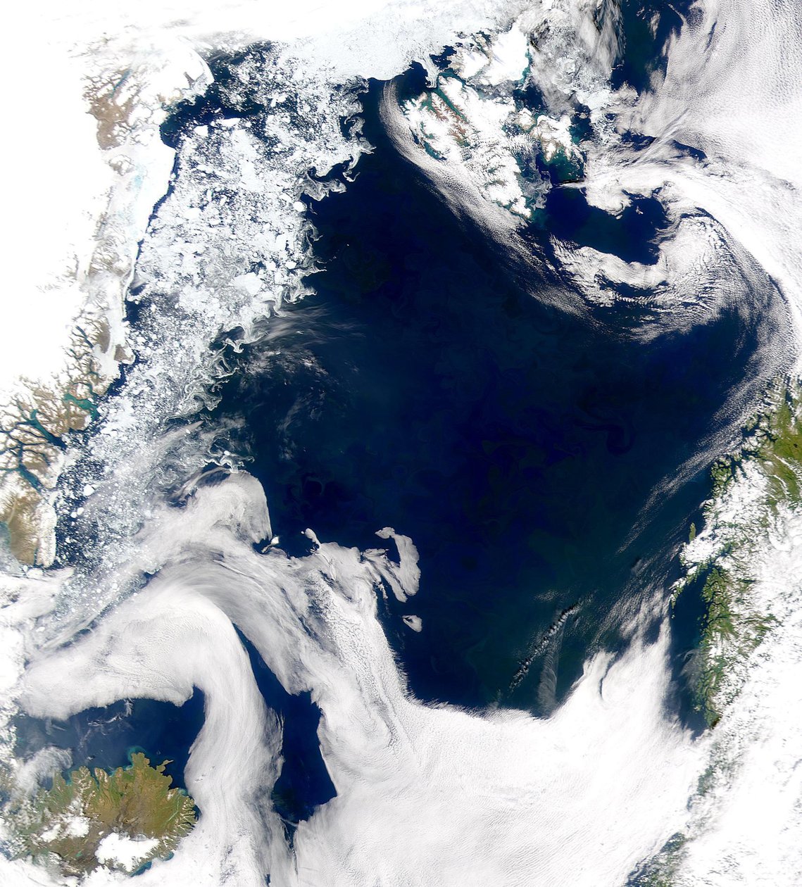 The cold, productive waters of the Greenland Sea and Norwegian Sea are revealed in this SeaWiFS image by National Aeronautics and Space Administration National Aeronautics and Space Administration