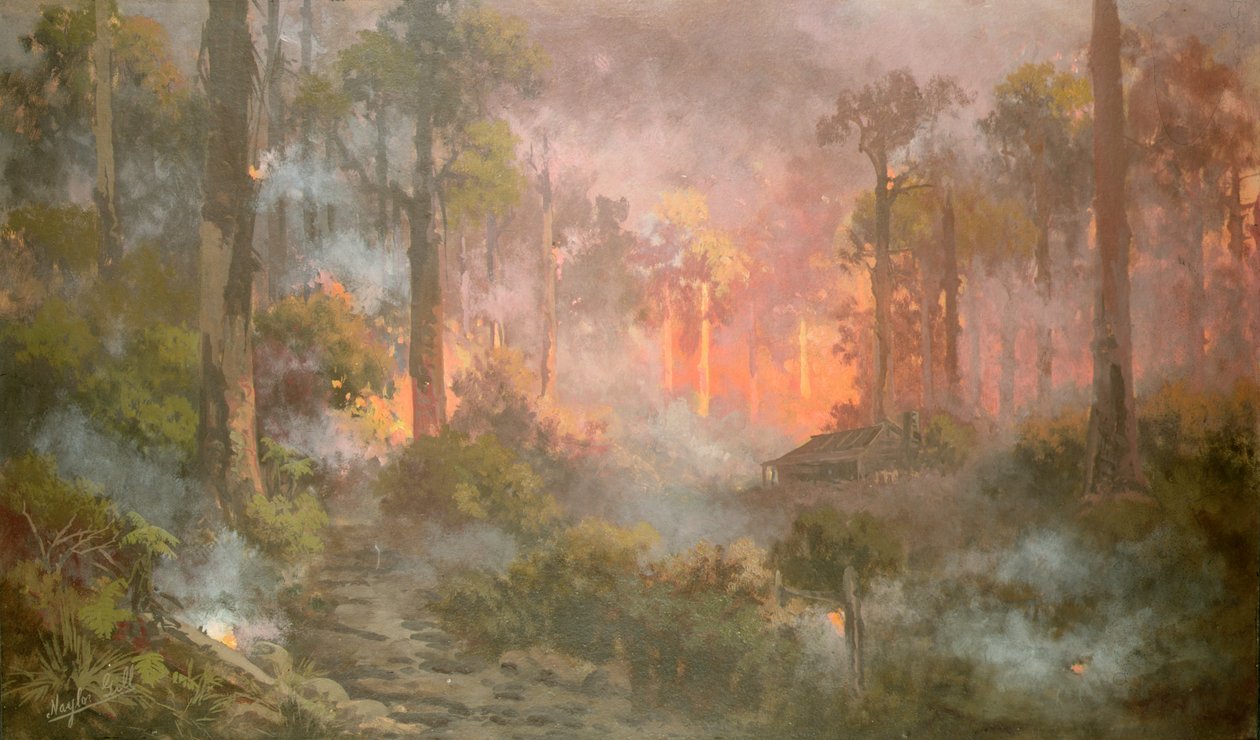 Bush Fire by Naylor Gill