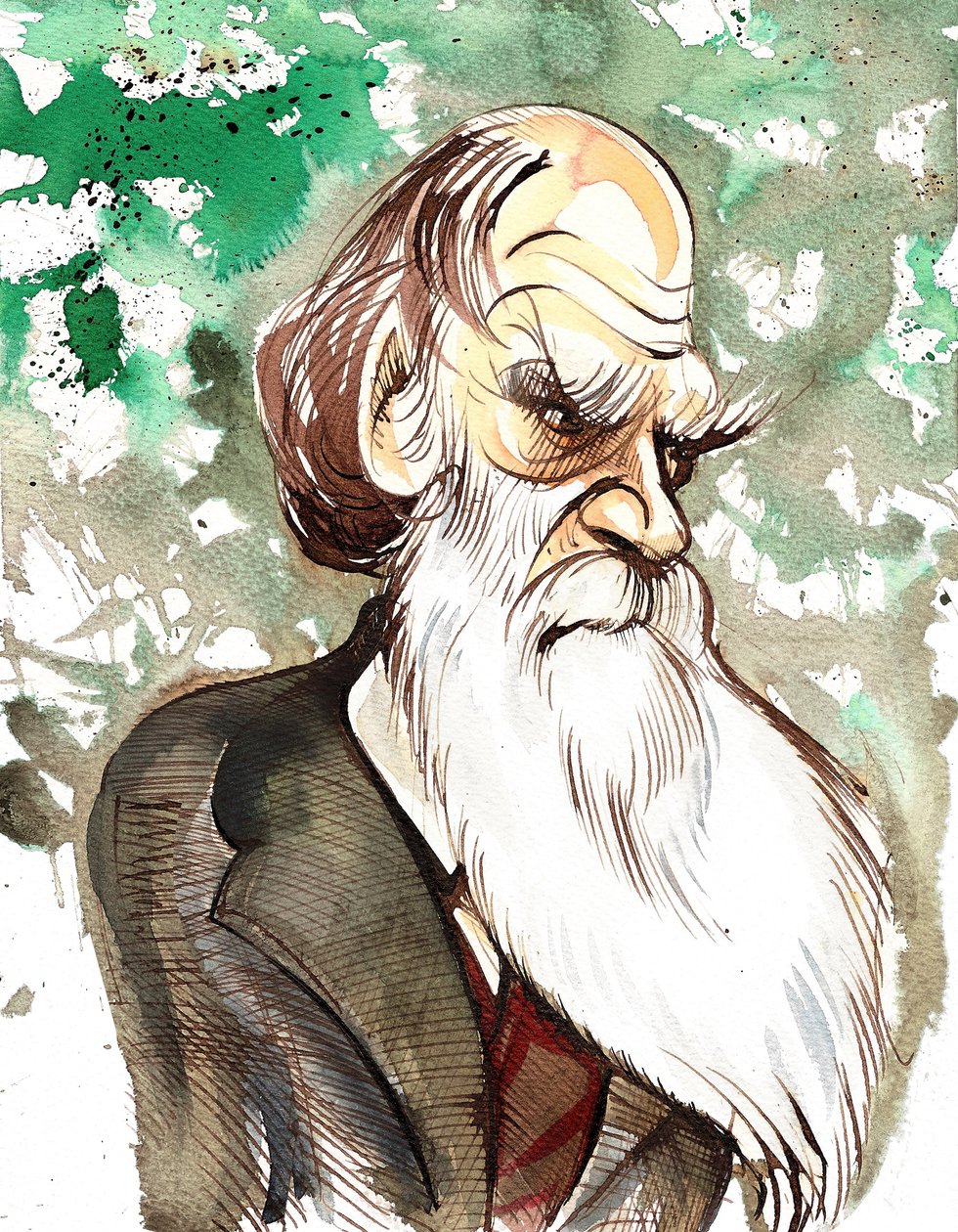 Charles Darwin (English naturalist and writer, 1809-82) colour caricature by Neale Osborne