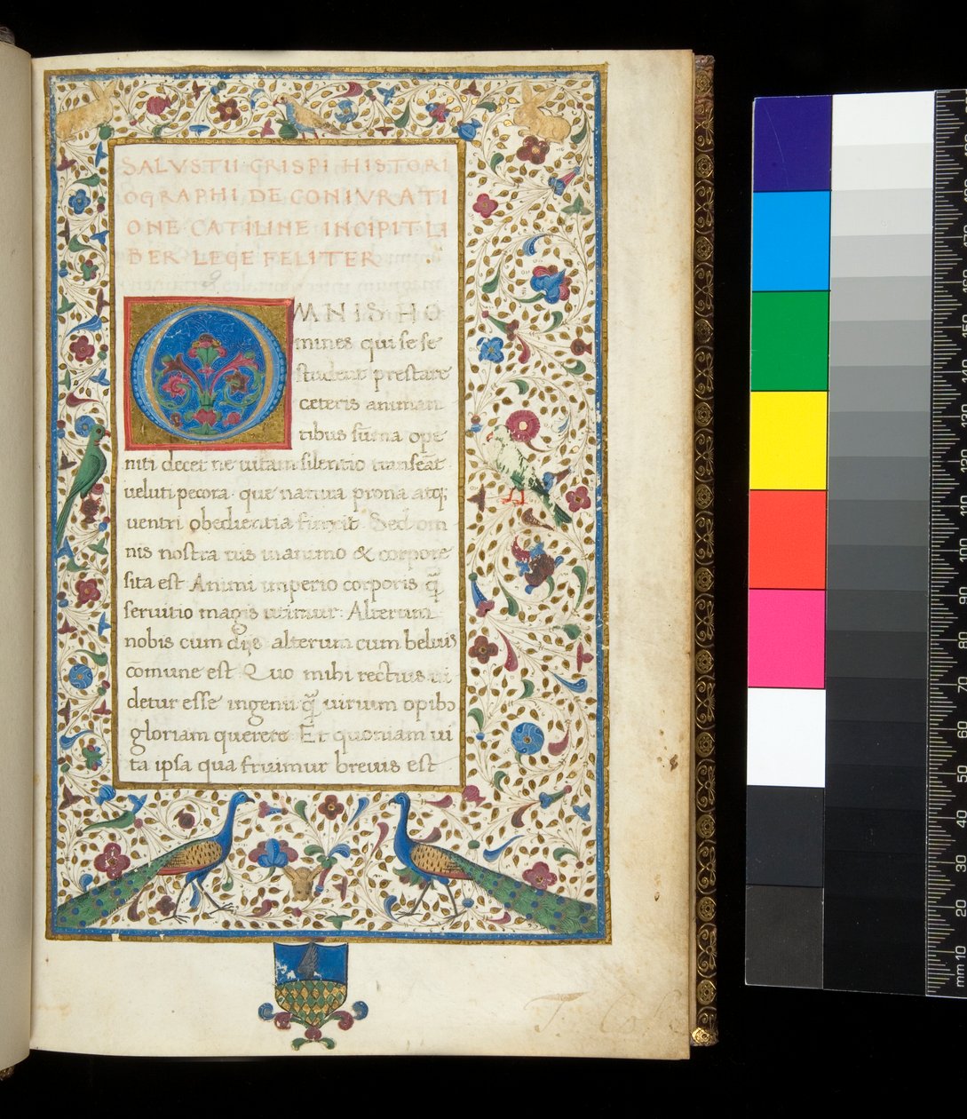 Ms 336. Sallust, Catilina and Jugurtha, f.1r. Full Illuminated Border with Peacocks, Rabbits, Green Parakeets and a Dove by Neapolitan School