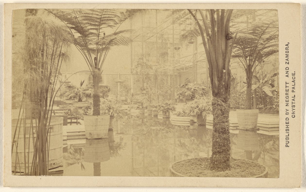 Trophies [Plant Growths, Interior at Crystal Palace] by Negretti and Zambra