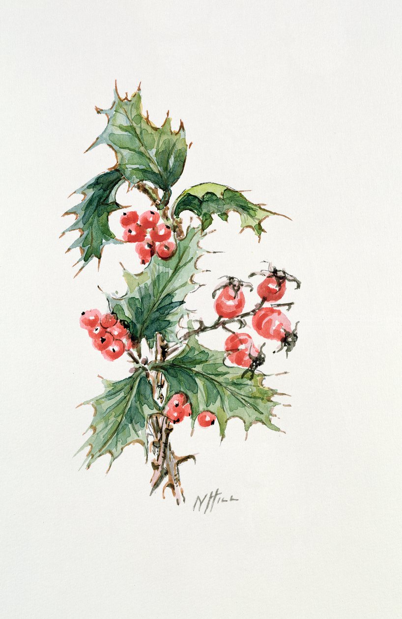 Holly and Rosehips by Nell Hill