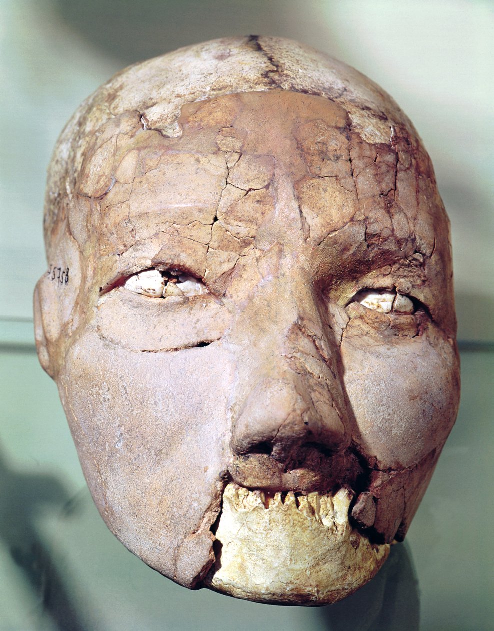Skull from Jericho by Neolithic