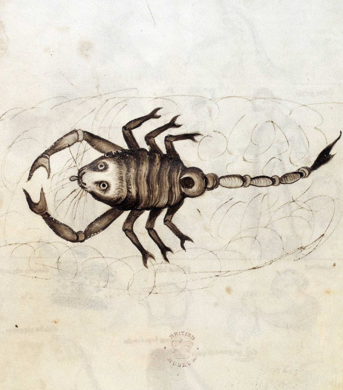 The zodiac sign Scorpio by Netherlandish School