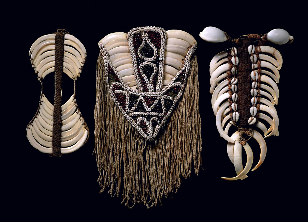 Chest Ornaments by Papua New Guinean