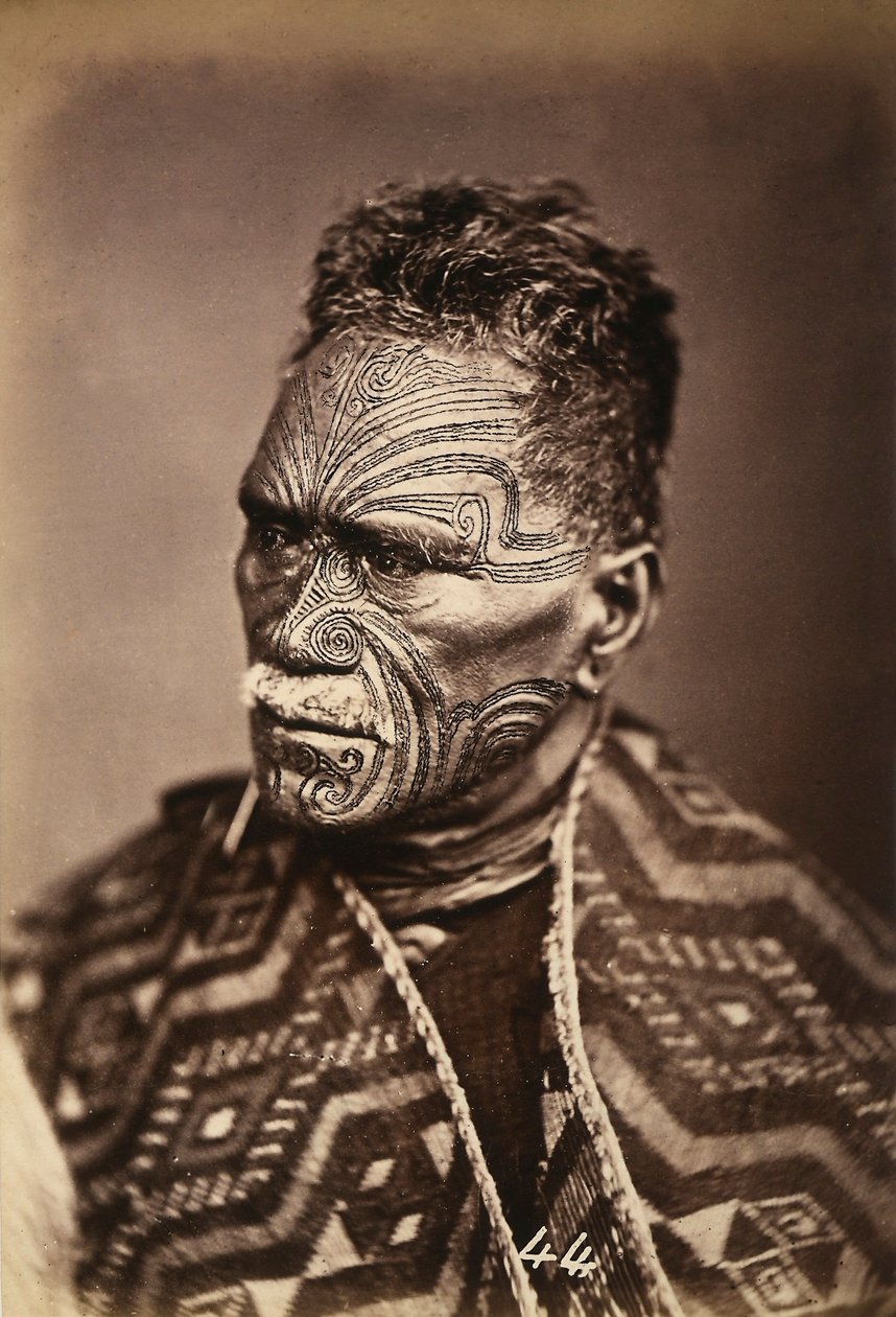 Portrait of a Maori with a tattooed face, c.1886-88 by New Zealand Photographer
