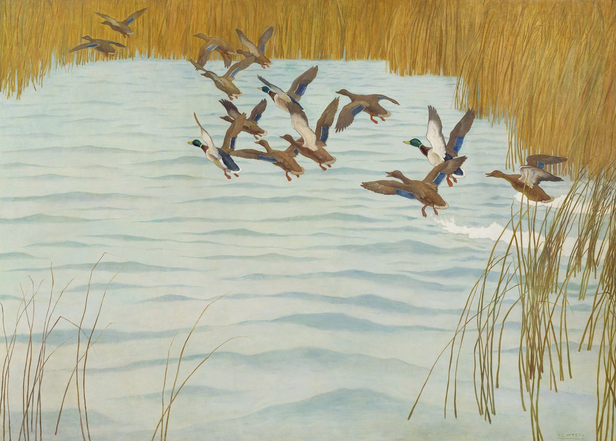 Mallards in Autumn, 1941 by Newell Convers Wyeth