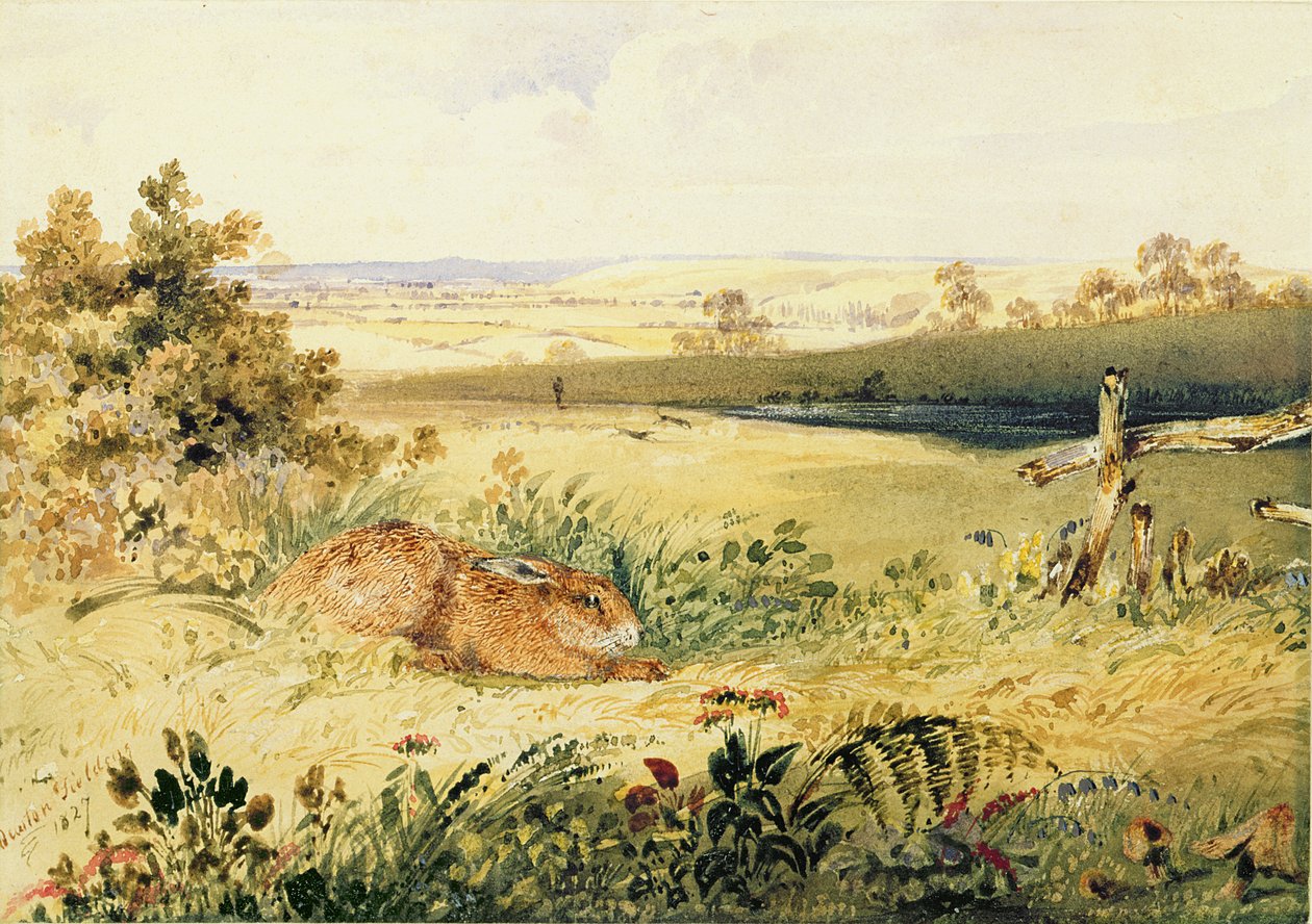 Hare in a Landscape by Newton Fielding