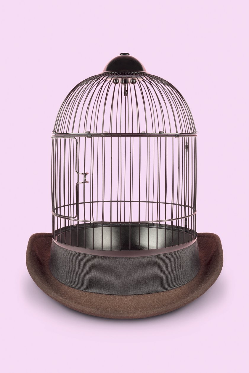 Mental Cage, 2020 by Niccolò Fioriti