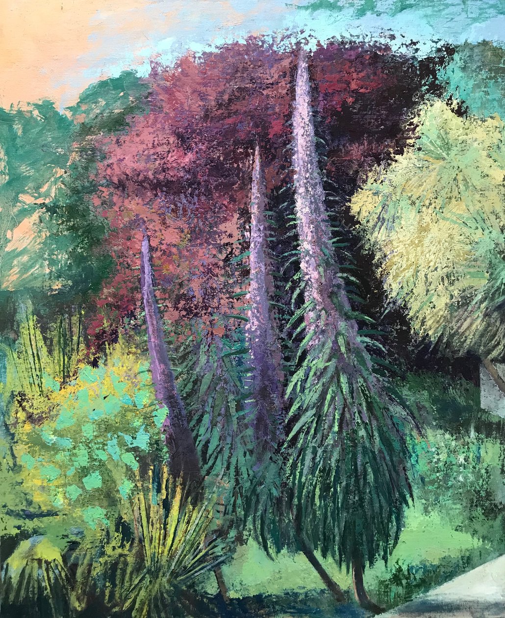 Three Echiums by Nick Williams