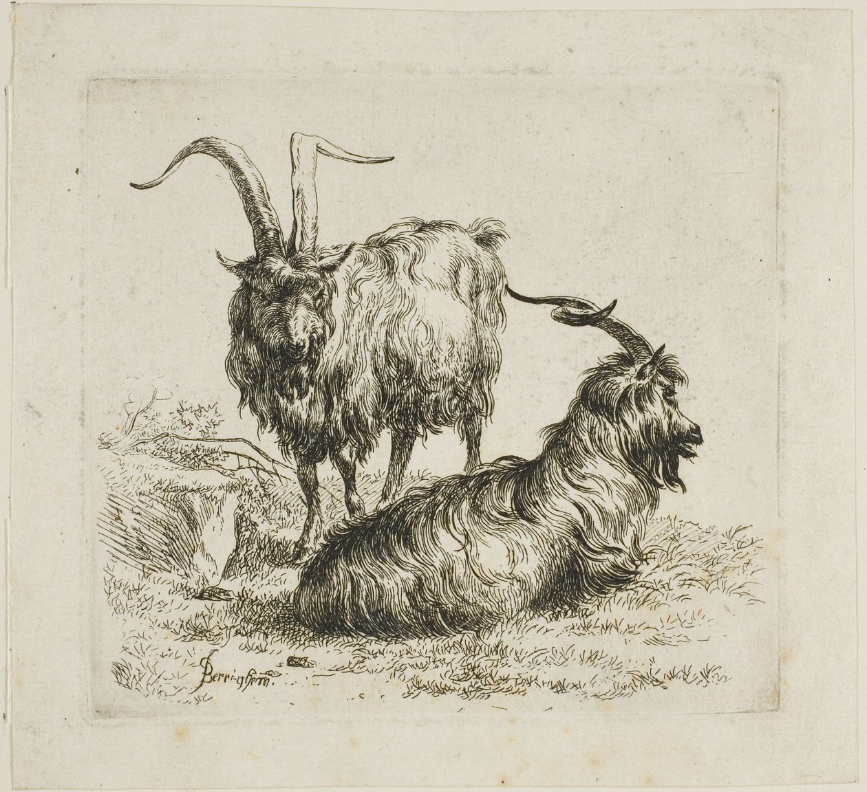 Two Goats with Large Horns (from Various Animals) by Nicolaes Berchem