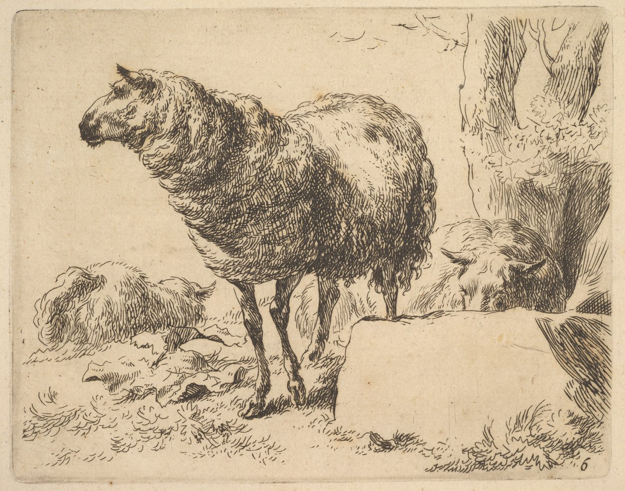 from The Set of Sheep by Nicolaes Berchem