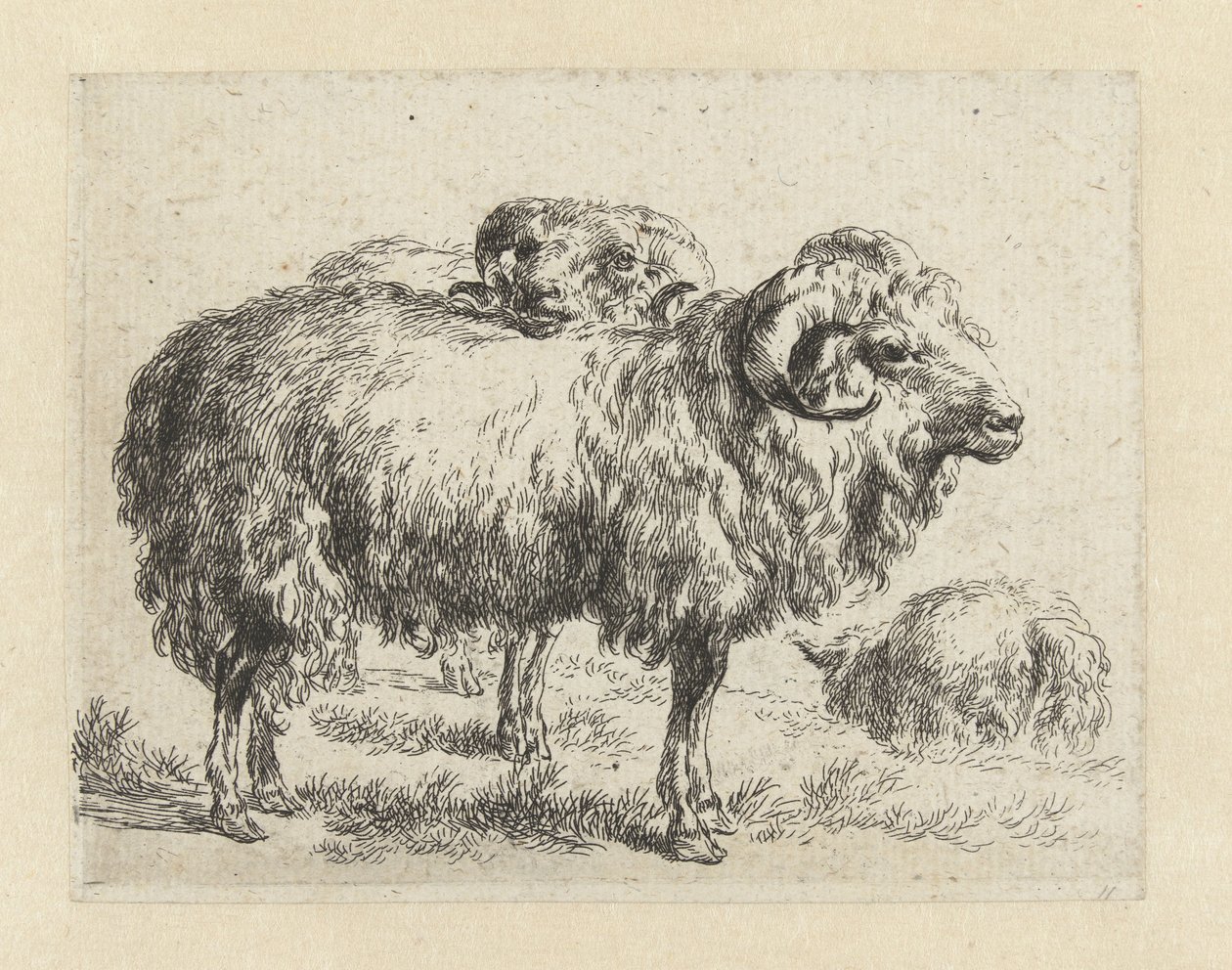 Two Rams and a Sheep by Nicolaes Pietersz Berchem