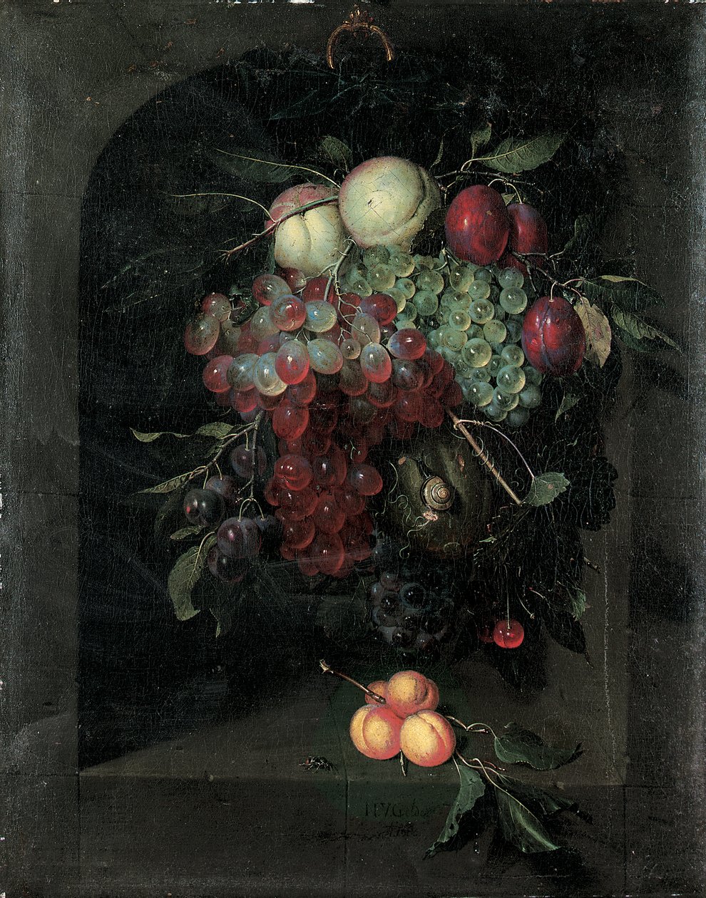 Swag of Grapes, Peaches, Plums and Cherries with a Snail in a Stone Niche with a Bunch of Apricots and Bee on a Ledge by Nicolaes Van Gelder