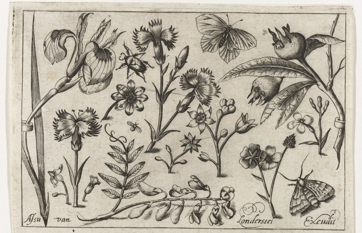 Flowers and Butterflies by Nicolaes de Bruyn (possibly)