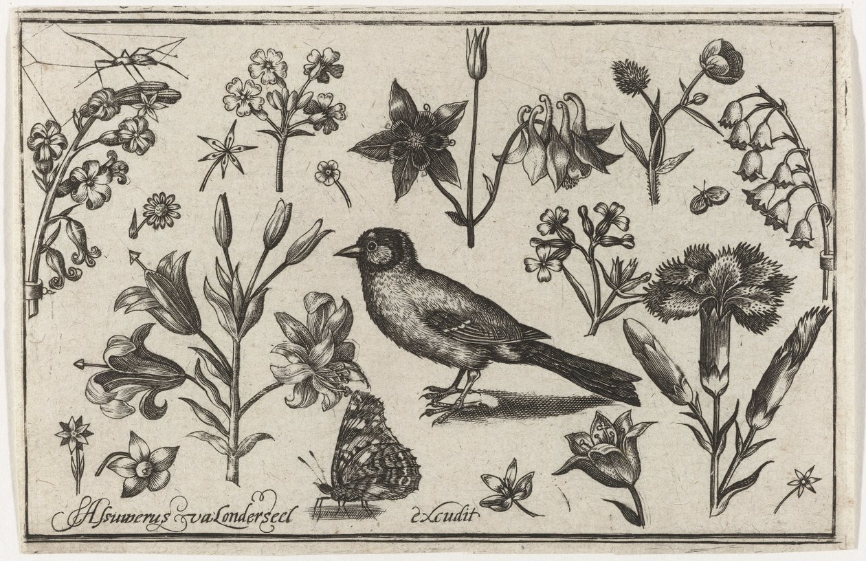Flowers, Butterfly, and a Bird by Nicolaes de Bruyn (possibly)
