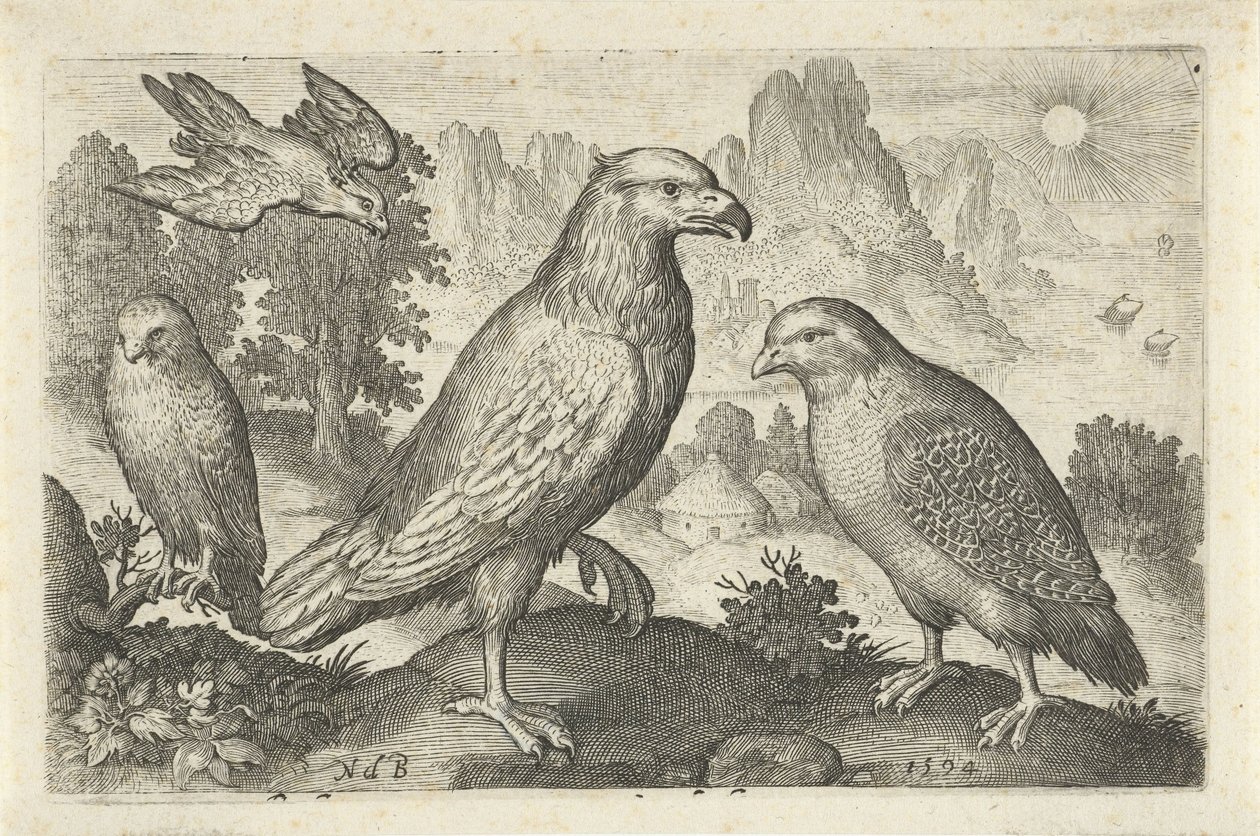 Eagle and Other Birds of Prey by Nicolaes de Bruyn