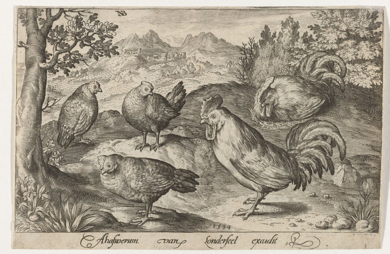 Three Chickens and Two Roosters Birds and Insects (series title) by Nicolaes de Bruyn