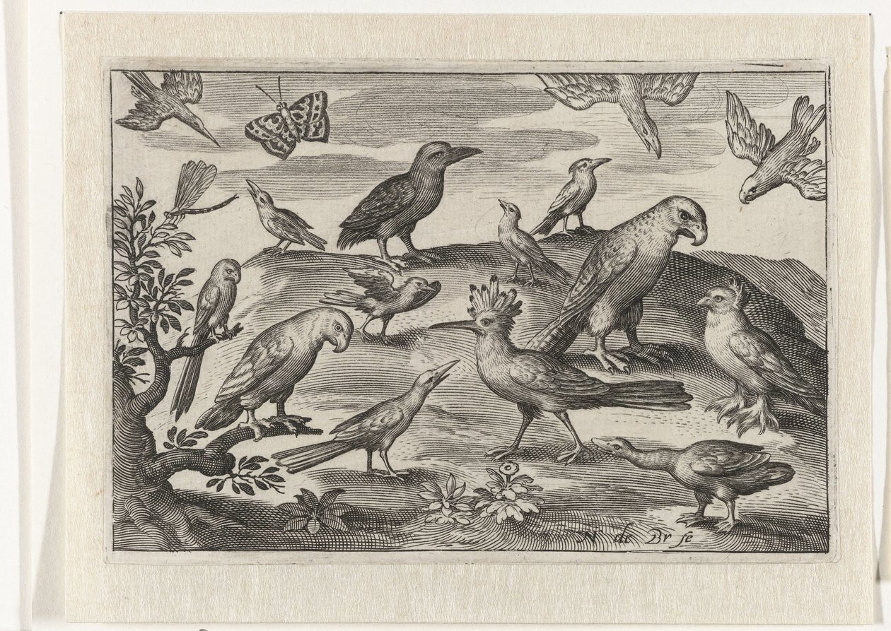 Hoopoe and Other Birds (Birds and Insects series) by Nicolaes de Bruyn