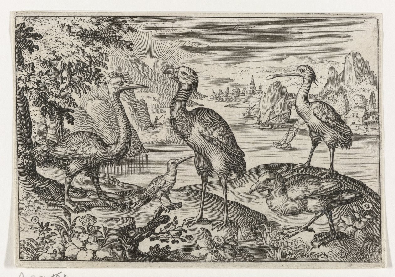 Crowned Crane Between Two Ostriches by Nicolaes de Bruyn