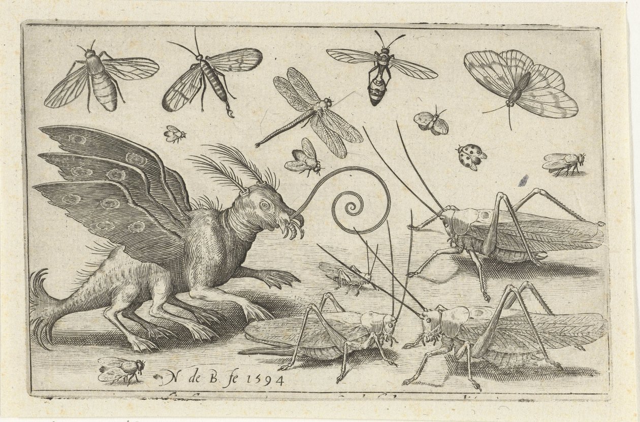 Grasshoppers and Fantasy Creature with Wings and Webbed Feet Birds and Insects (series title) by Nicolaes de Bruyn