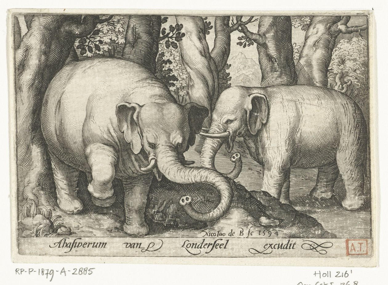Two Elephants by Nicolaes de Bruyn