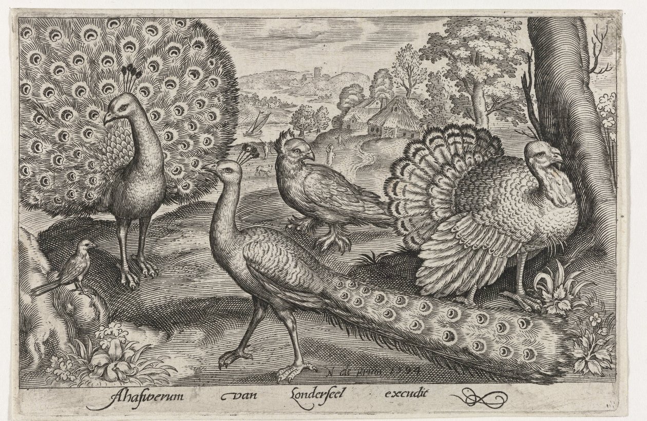 Two Peacocks and a Turkey by Nicolaes de Bruyn