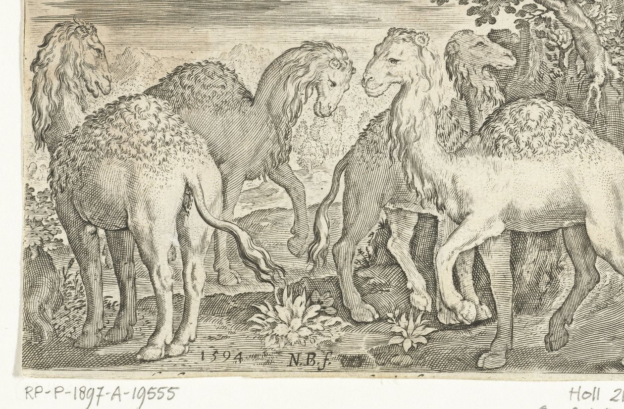 Four Dromedaries, Animalivm qvadrvpedvm (series title), Animals in Landscapes (series title) by Nicolaes de Bruyn