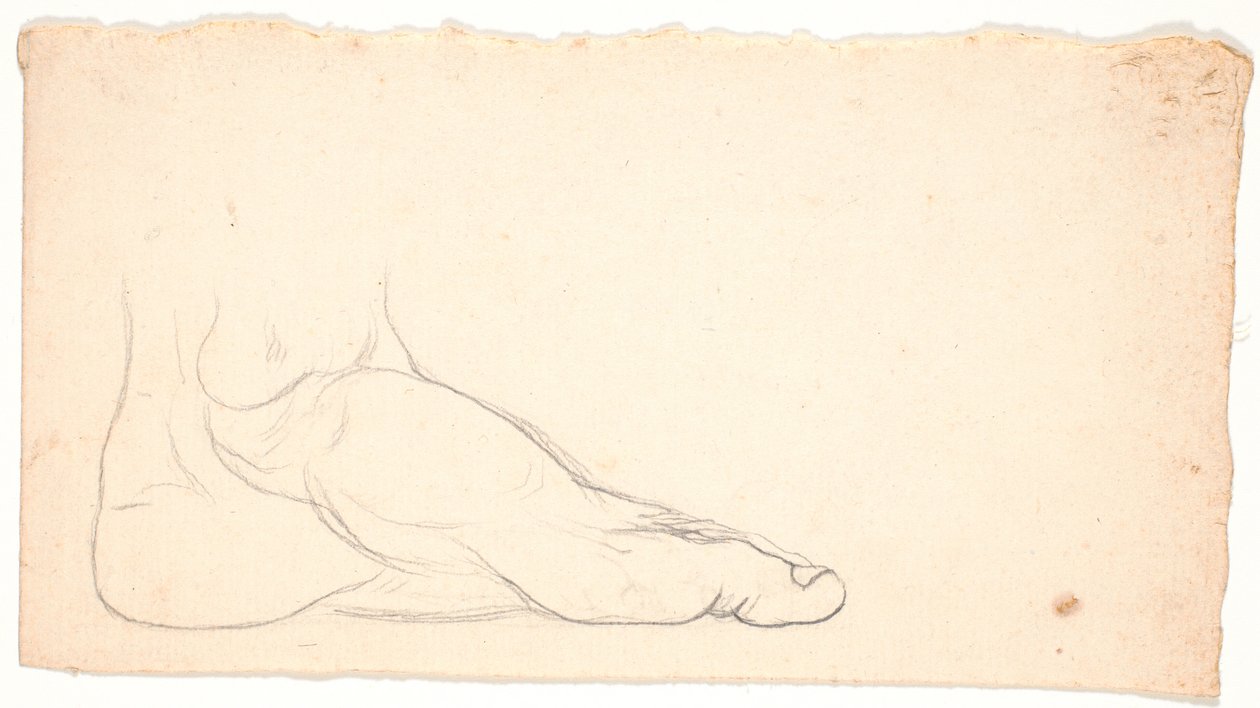 Sketch of Foot Seen from the Side. Heel to the Left. by Nicolai Abildgaard