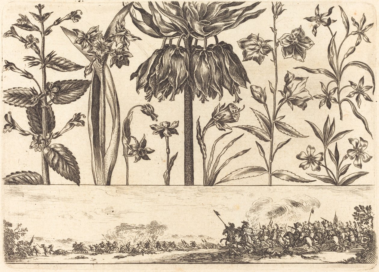Flower Print no.10 by Nicolas Cochin after Balthasar Moncornet