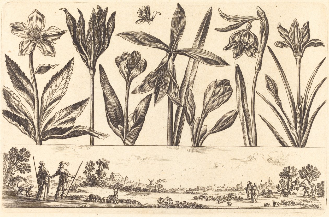 Flower Print No.4 by Nicolas Cochin after Balthasar Moncornet