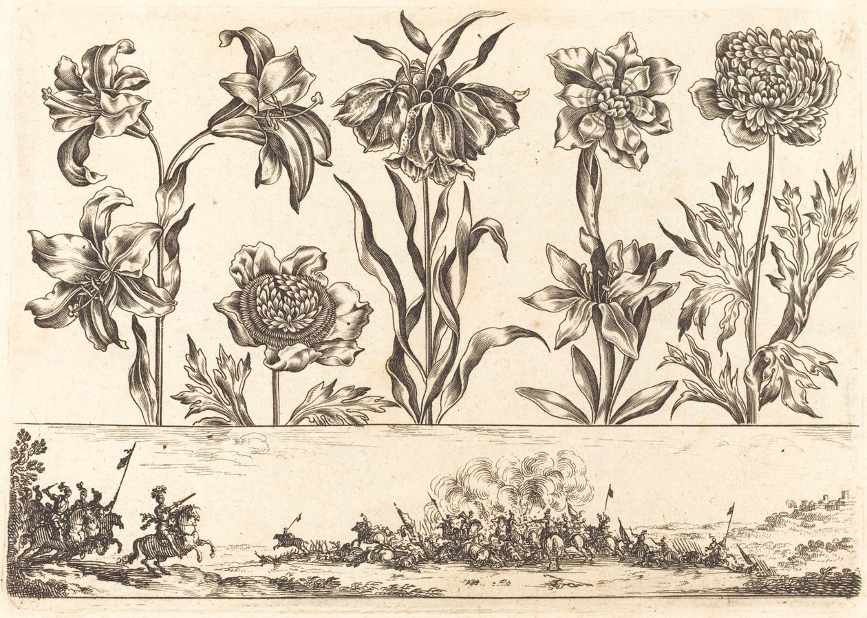 Flower Print No.8 by Nicolas Cochin after Balthasar Moncornet