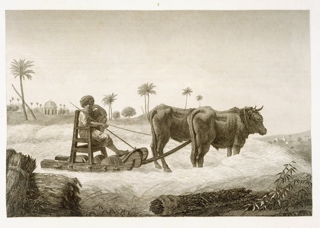 Harvesting Corn, from Volume II Arts and Trades of 