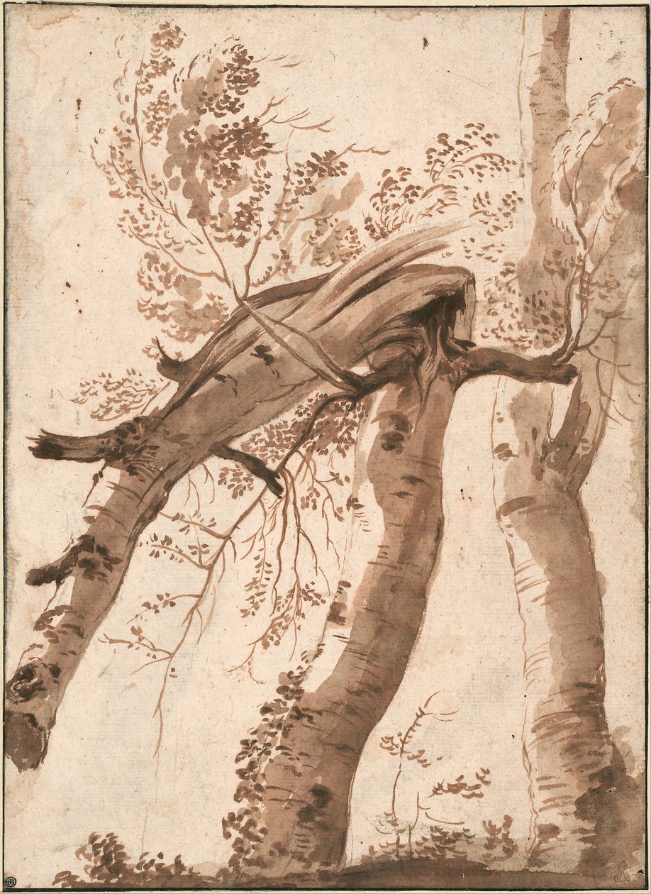 Two Silver Birches, the Front One Fallen, c. 1629 by Nicolas Poussin